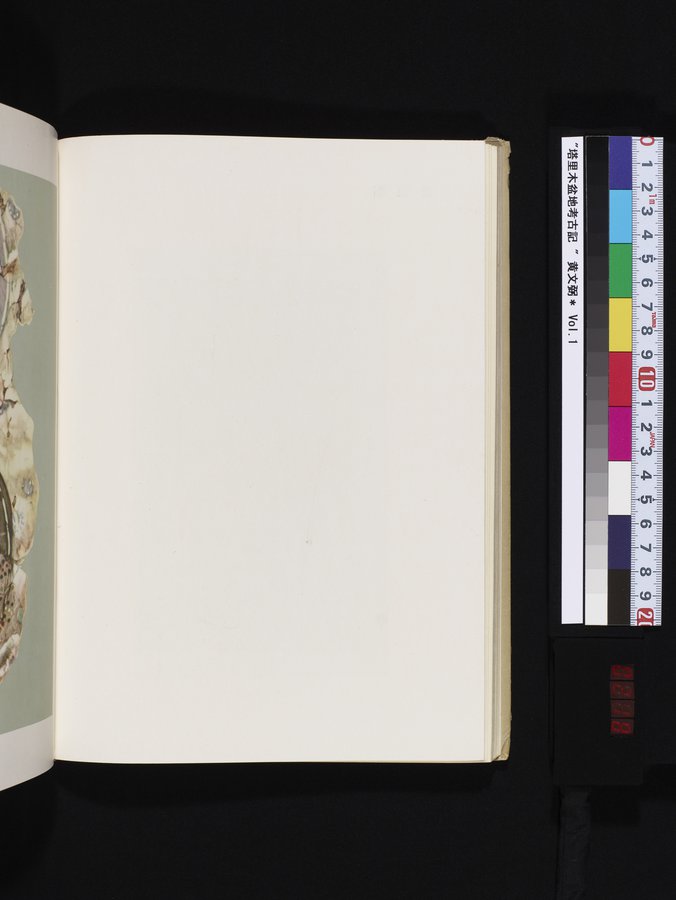 塔里木盆地考古記 : vol.1 / 218 ページ（カラー画像）