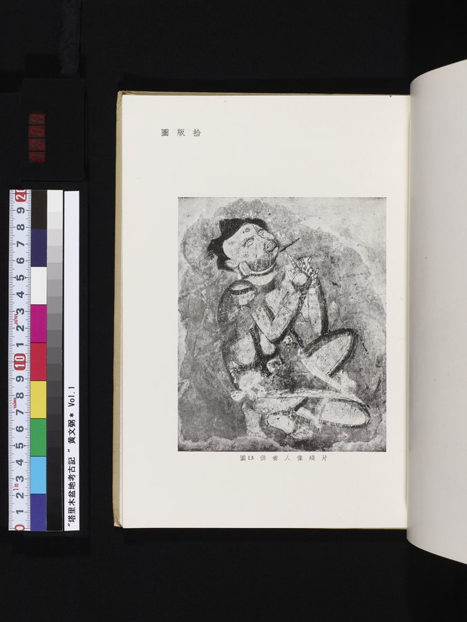 塔里木盆地考古記 : vol.1 / 221 ページ（カラー画像）