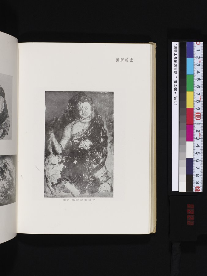 塔里木盆地考古記 : vol.1 / Page 222 (Color Image)