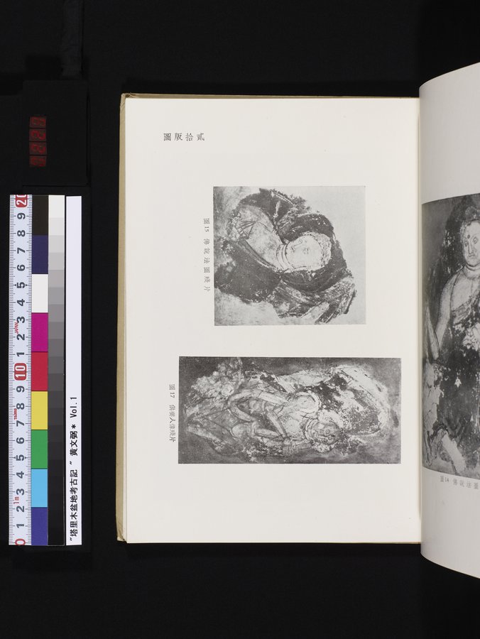 塔里木盆地考古記 : vol.1 / 223 ページ（カラー画像）