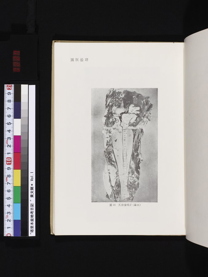 塔里木盆地考古記 : vol.1 / 227 ページ（カラー画像）