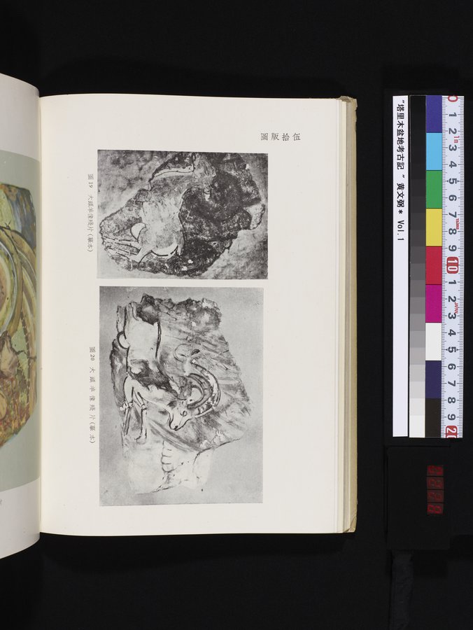 塔里木盆地考古記 : vol.1 / 228 ページ（カラー画像）
