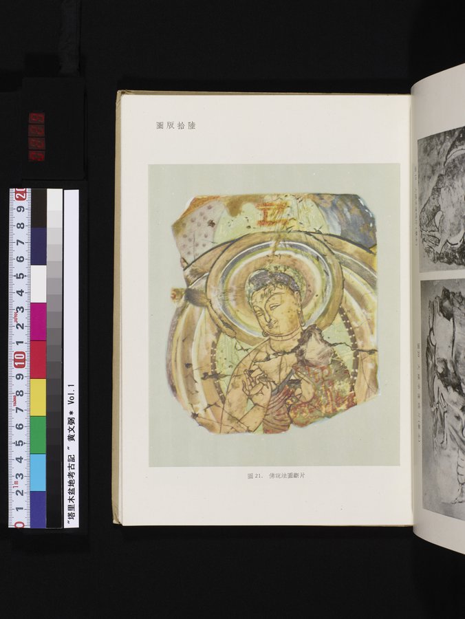塔里木盆地考古記 : vol.1 / 229 ページ（カラー画像）