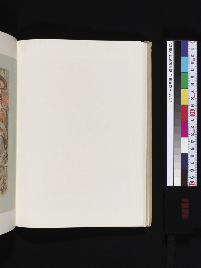 塔里木盆地考古記 : vol.1 / 232 ページ（カラー画像）