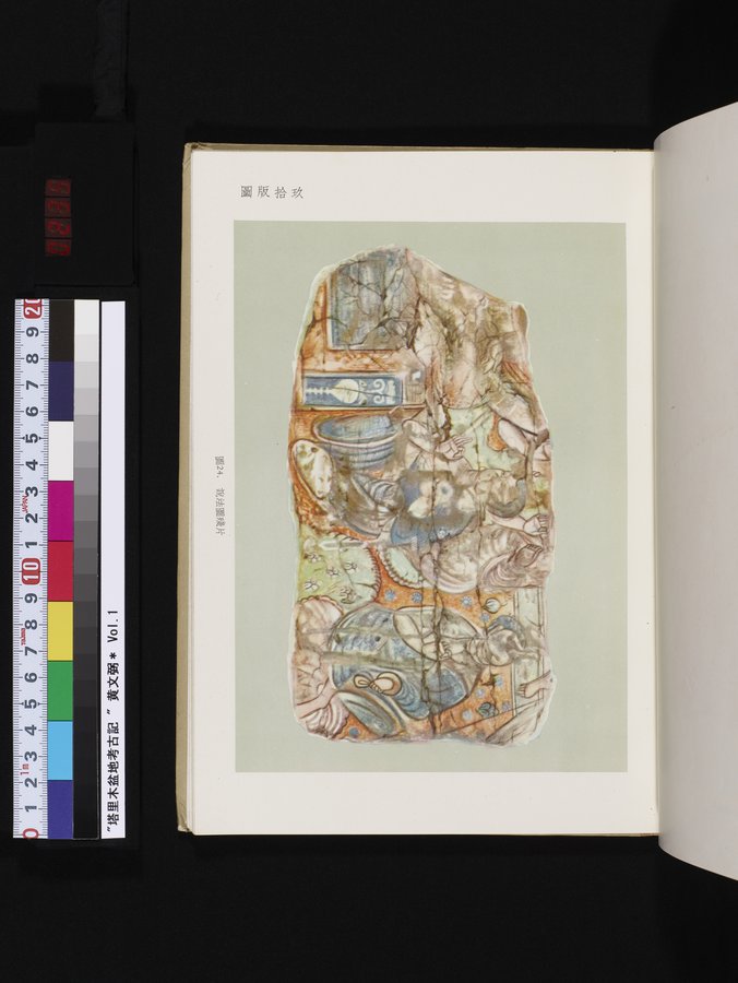 塔里木盆地考古記 : vol.1 / 235 ページ（カラー画像）