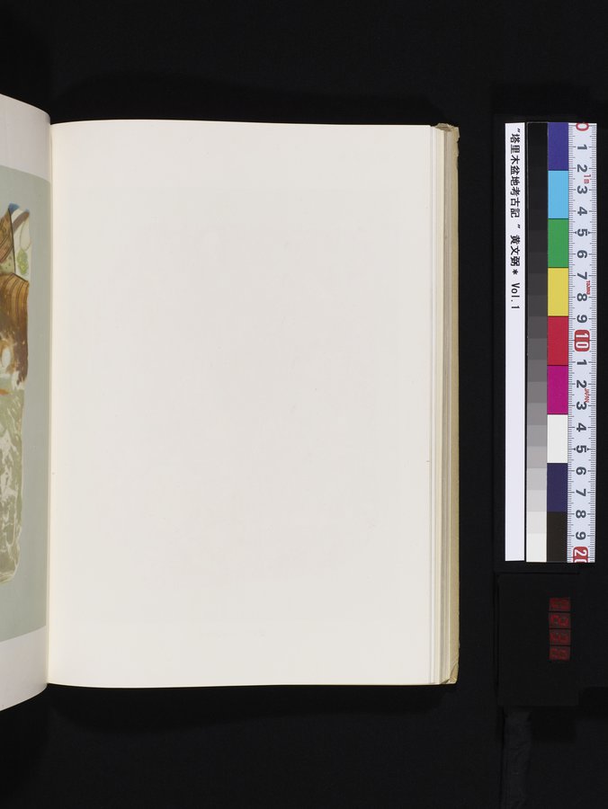 塔里木盆地考古記 : vol.1 / 238 ページ（カラー画像）