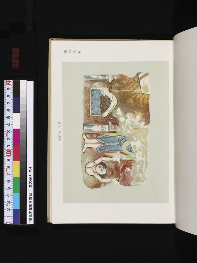 塔里木盆地考古記 : vol.1 / 239 ページ（カラー画像）