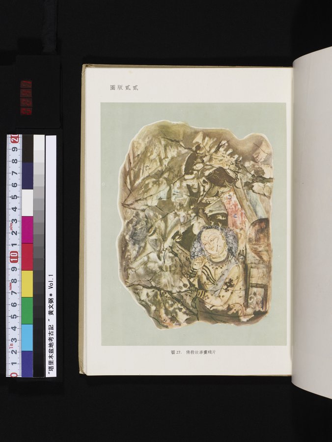 塔里木盆地考古記 : vol.1 / 241 ページ（カラー画像）