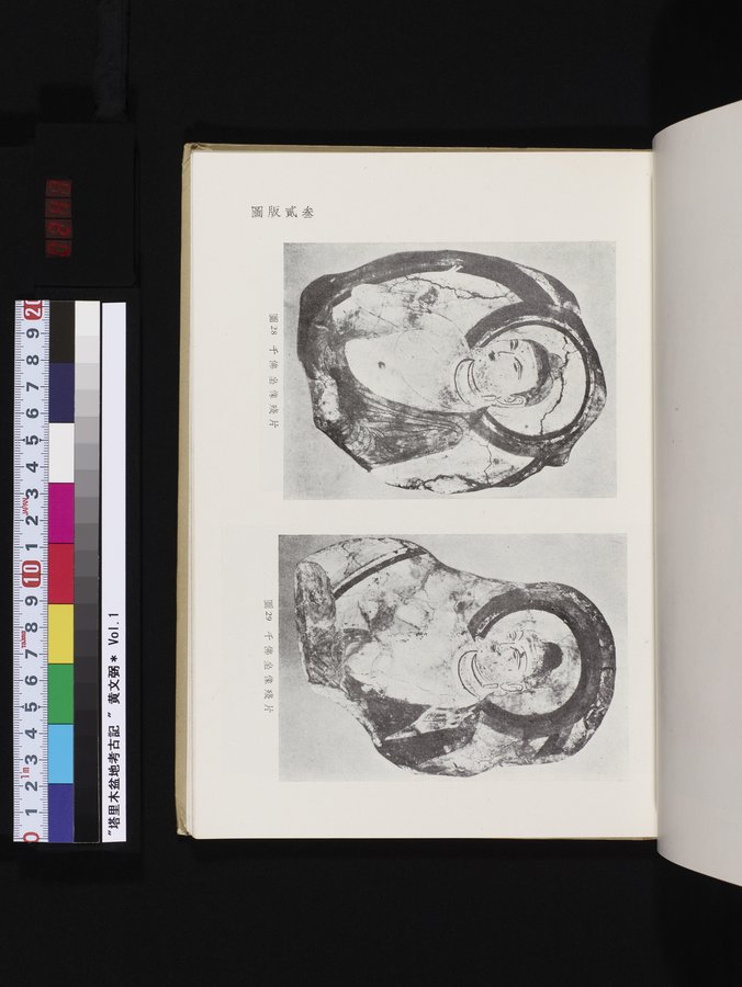 塔里木盆地考古記 : vol.1 / 243 ページ（カラー画像）