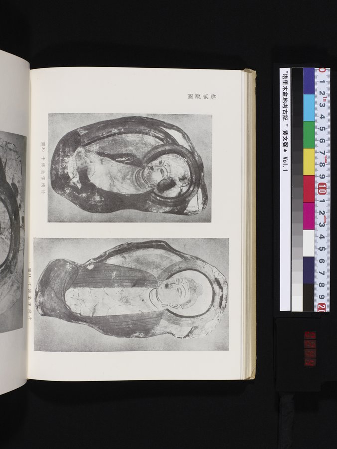 塔里木盆地考古記 : vol.1 / 244 ページ（カラー画像）