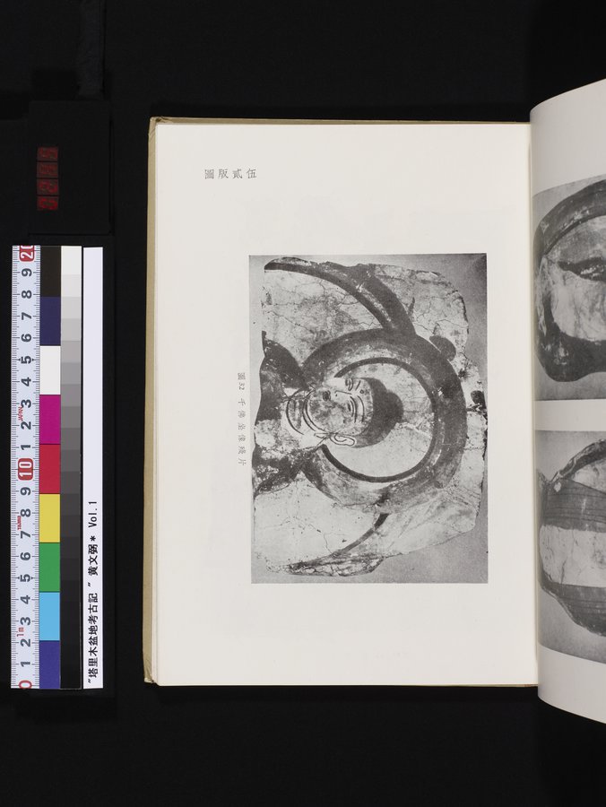 塔里木盆地考古記 : vol.1 / 245 ページ（カラー画像）