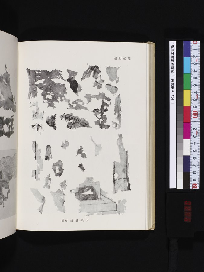 塔里木盆地考古記 : vol.1 / 246 ページ（カラー画像）