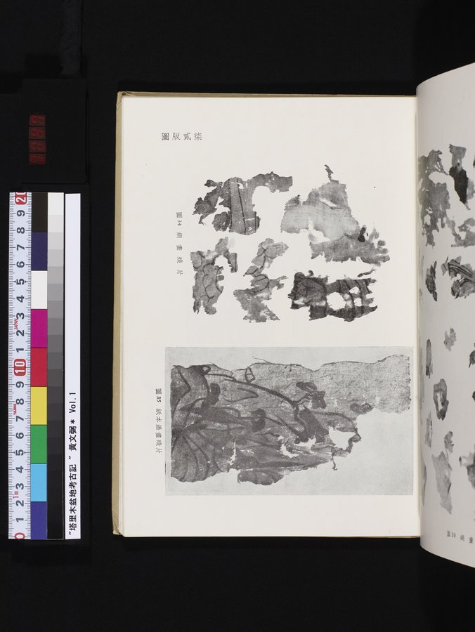 塔里木盆地考古記 : vol.1 / 247 ページ（カラー画像）