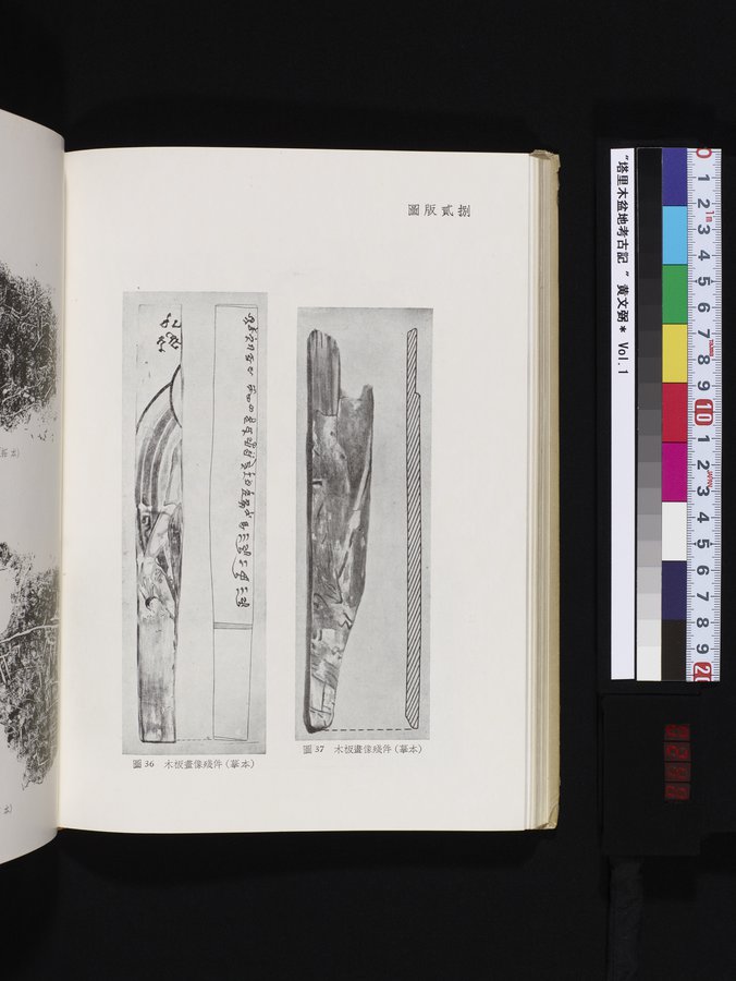塔里木盆地考古記 : vol.1 / 248 ページ（カラー画像）