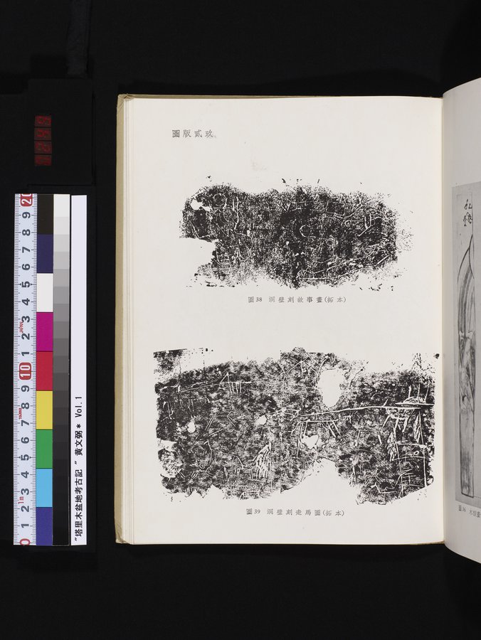 塔里木盆地考古記 : vol.1 / 249 ページ（カラー画像）