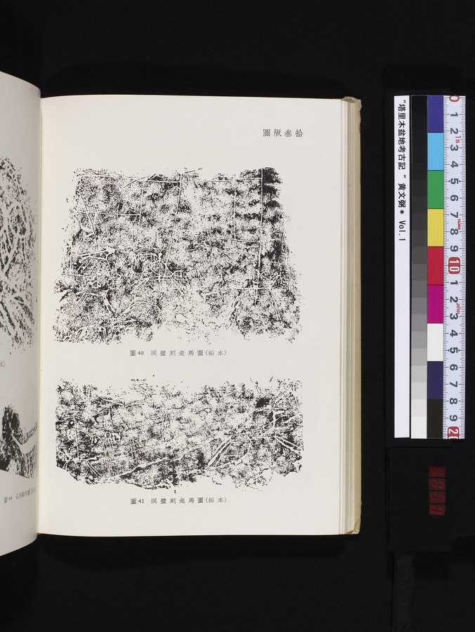 塔里木盆地考古記 : vol.1 / Page 250 (Color Image)