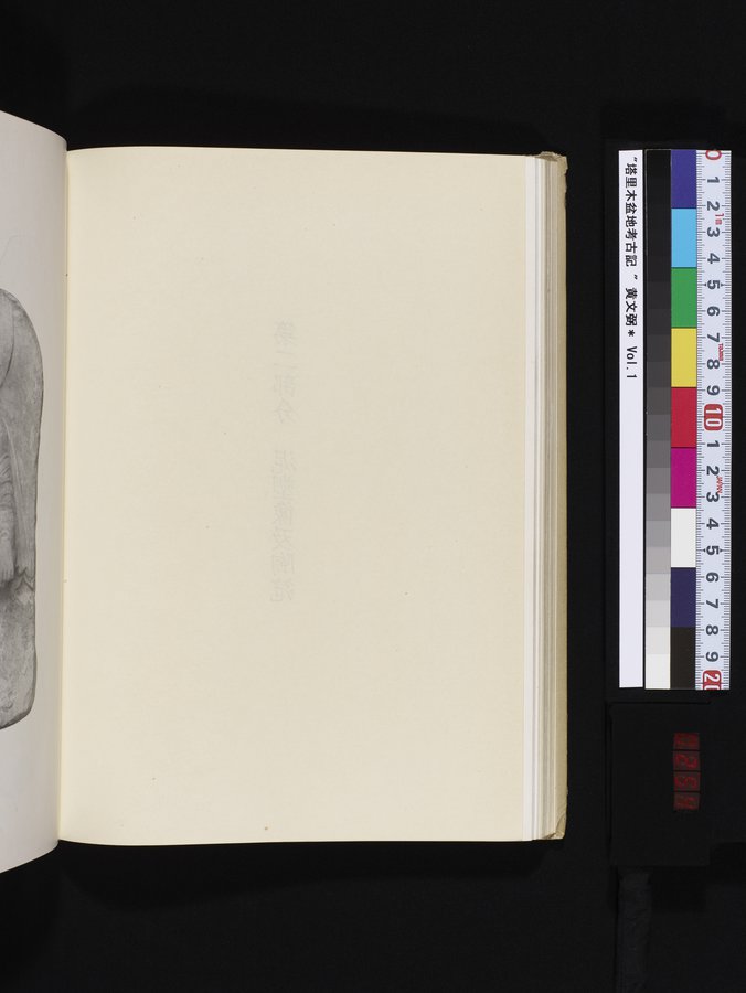 塔里木盆地考古記 : vol.1 / 254 ページ（カラー画像）