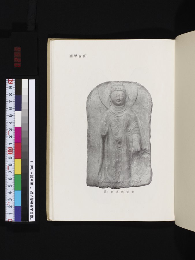 塔里木盆地考古記 : vol.1 / 255 ページ（カラー画像）