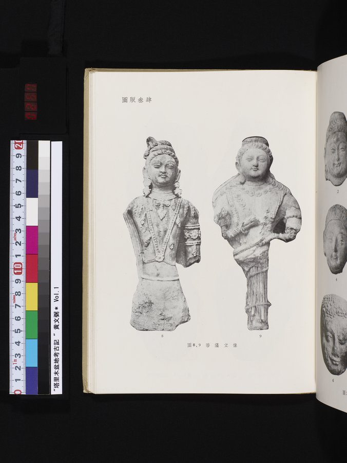 塔里木盆地考古記 : vol.1 / 257 ページ（カラー画像）