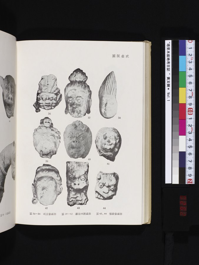 塔里木盆地考古記 : vol.1 / 262 ページ（カラー画像）