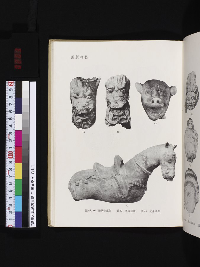 塔里木盆地考古記 : vol.1 / 263 ページ（カラー画像）