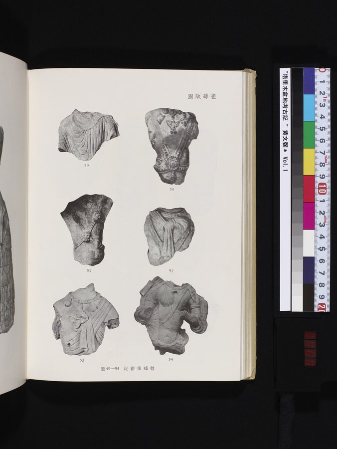 塔里木盆地考古記 : vol.1 / 264 ページ（カラー画像）