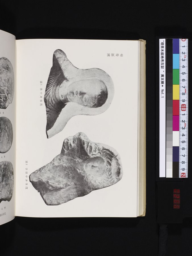 塔里木盆地考古記 : vol.1 / 266 ページ（カラー画像）
