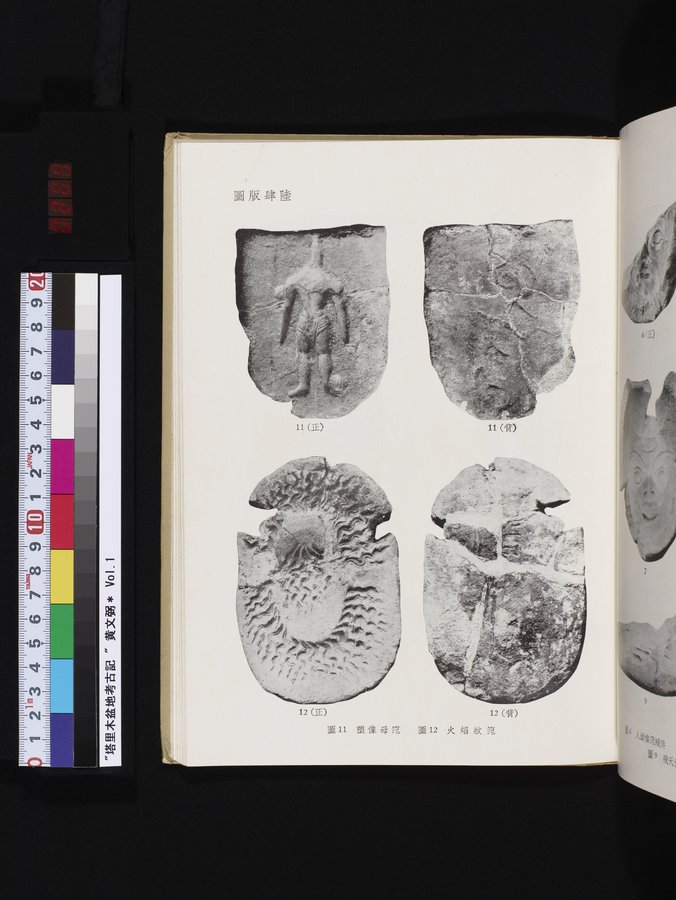 塔里木盆地考古記 : vol.1 / 269 ページ（カラー画像）