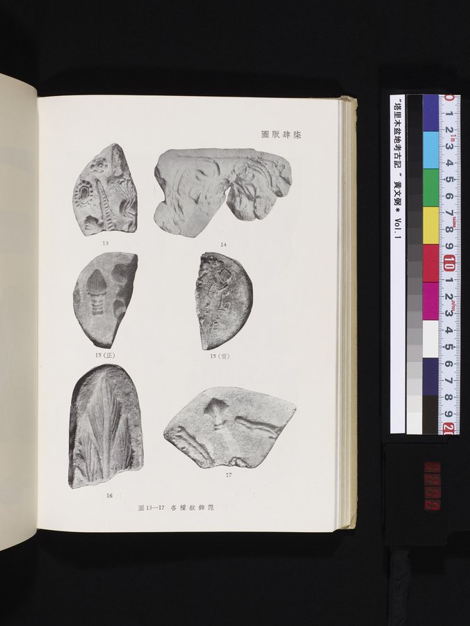塔里木盆地考古記 : vol.1 / 270 ページ（カラー画像）