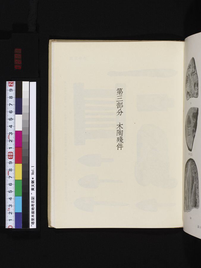 塔里木盆地考古記 : vol.1 / 271 ページ（カラー画像）