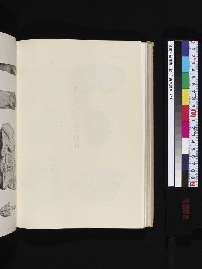 塔里木盆地考古記 : vol.1 / 272 ページ（カラー画像）