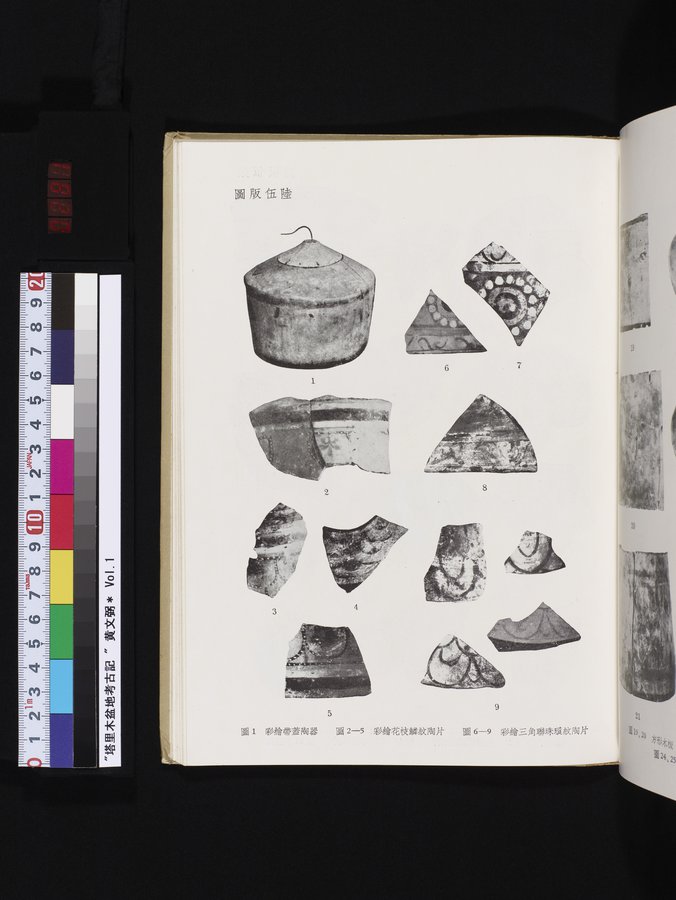 塔里木盆地考古記 : vol.1 / 281 ページ（カラー画像）