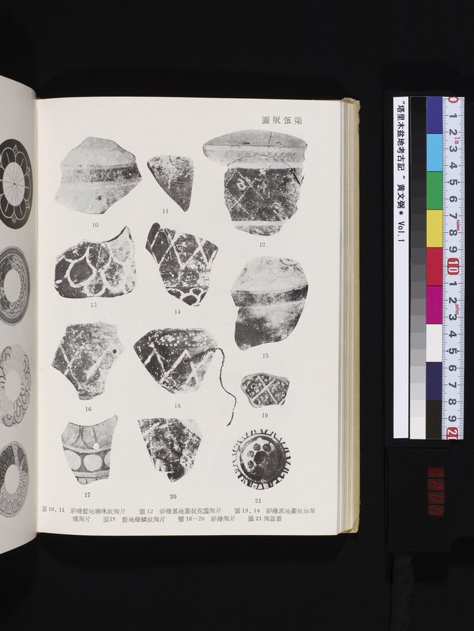 塔里木盆地考古記 : vol.1 / 282 ページ（カラー画像）