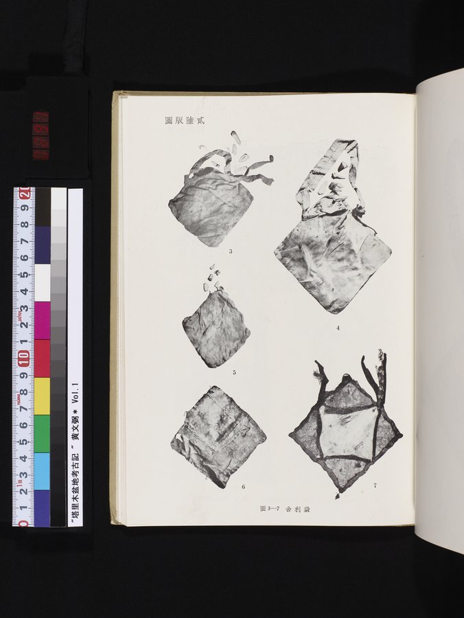 塔里木盆地考古記 : vol.1 / 291 ページ（カラー画像）
