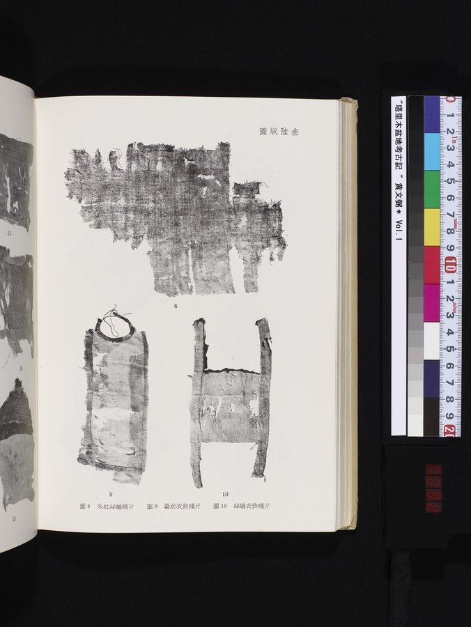塔里木盆地考古記 : vol.1 / 292 ページ（カラー画像）