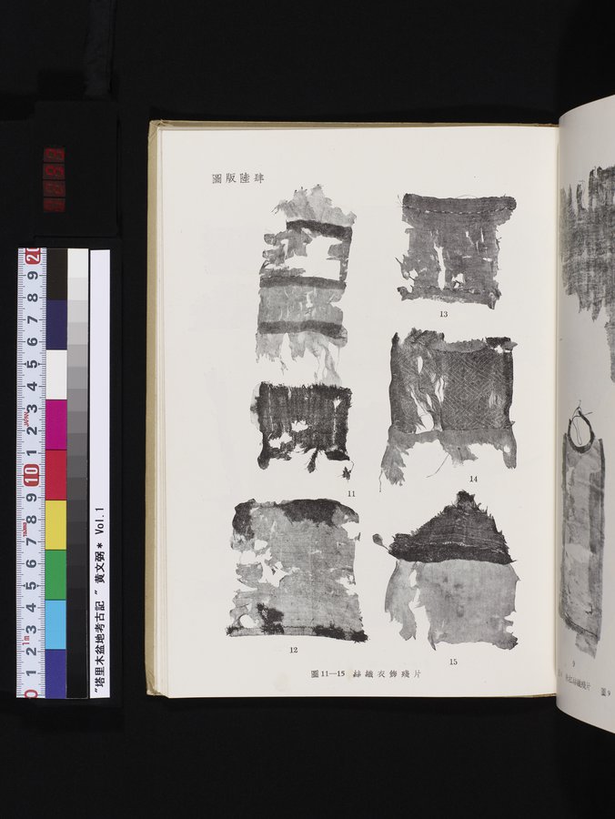 塔里木盆地考古記 : vol.1 / 293 ページ（カラー画像）