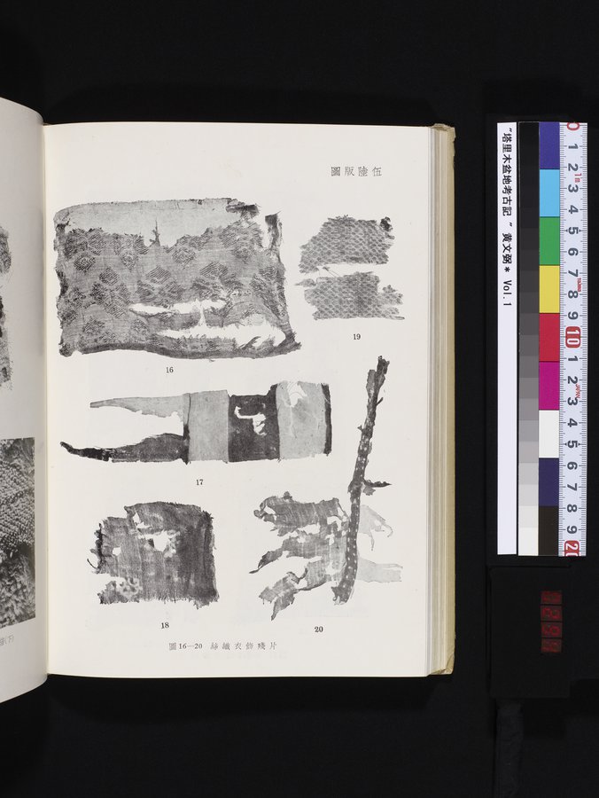 塔里木盆地考古記 : vol.1 / 294 ページ（カラー画像）