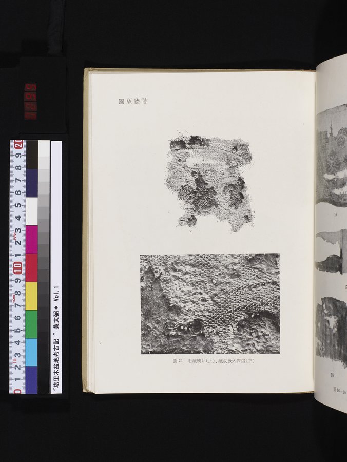 塔里木盆地考古記 : vol.1 / 295 ページ（カラー画像）