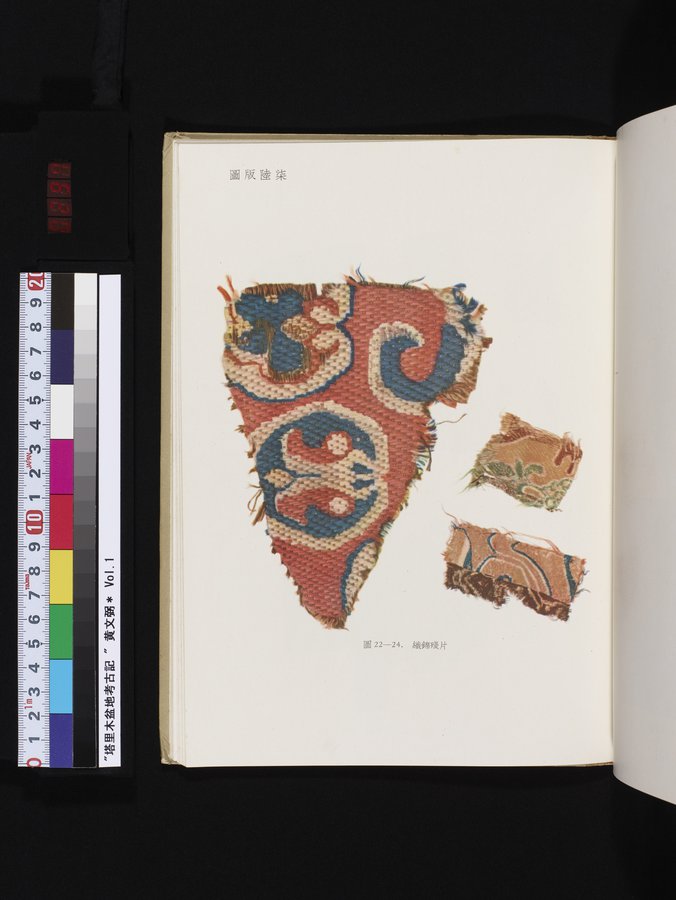 塔里木盆地考古記 : vol.1 / 297 ページ（カラー画像）