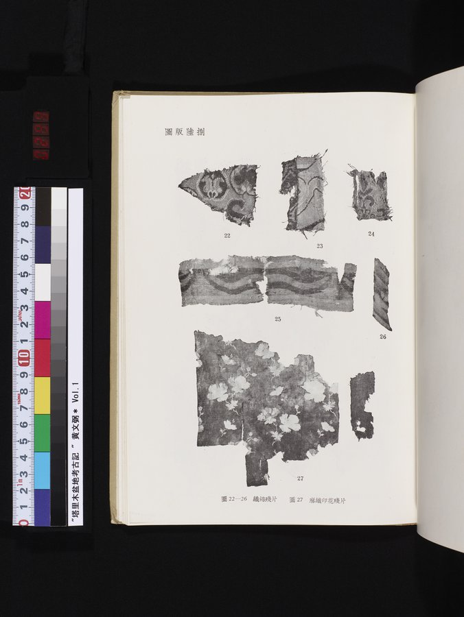 塔里木盆地考古記 : vol.1 / 299 ページ（カラー画像）