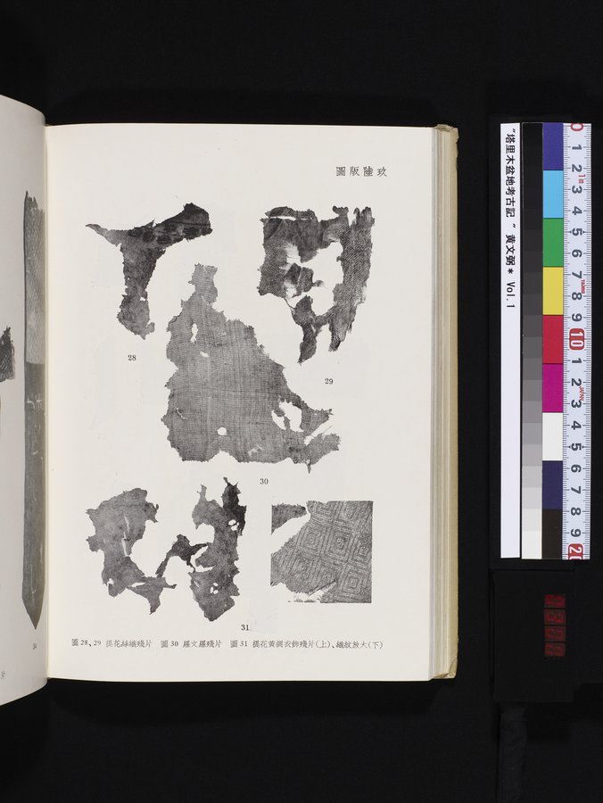 塔里木盆地考古記 : vol.1 / 300 ページ（カラー画像）
