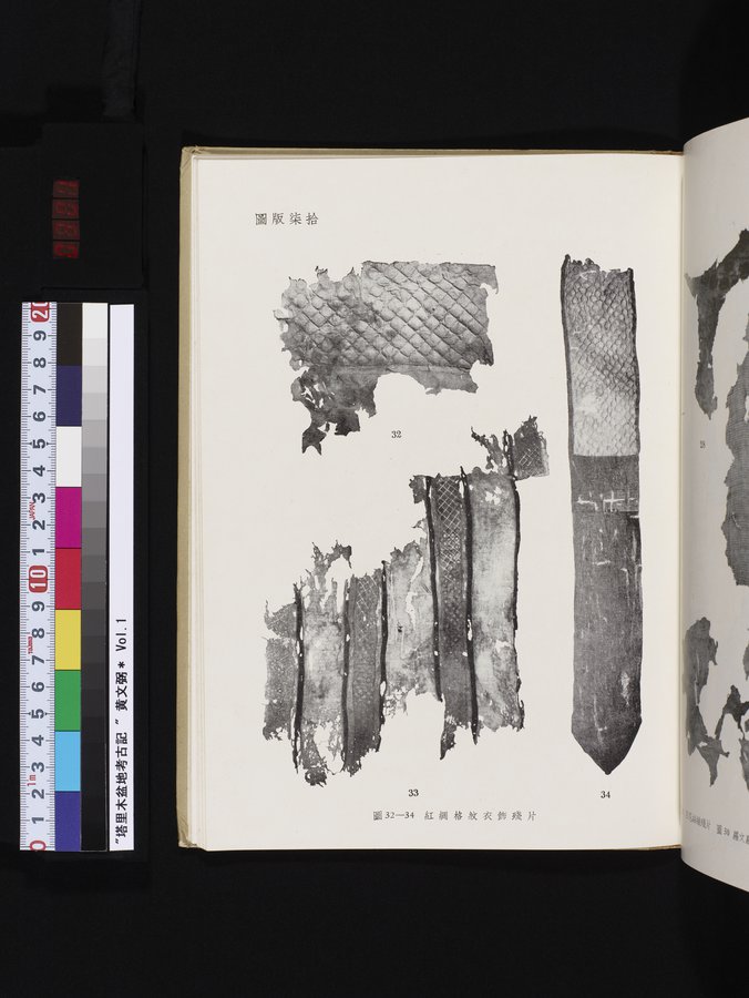 塔里木盆地考古記 : vol.1 / 301 ページ（カラー画像）