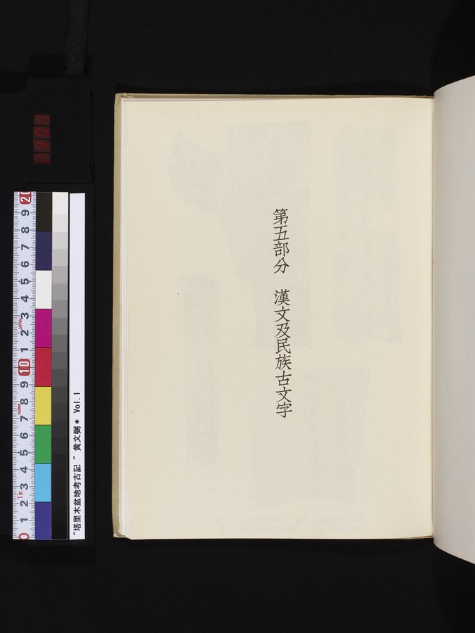 塔里木盆地考古記 : vol.1 / 303 ページ（カラー画像）