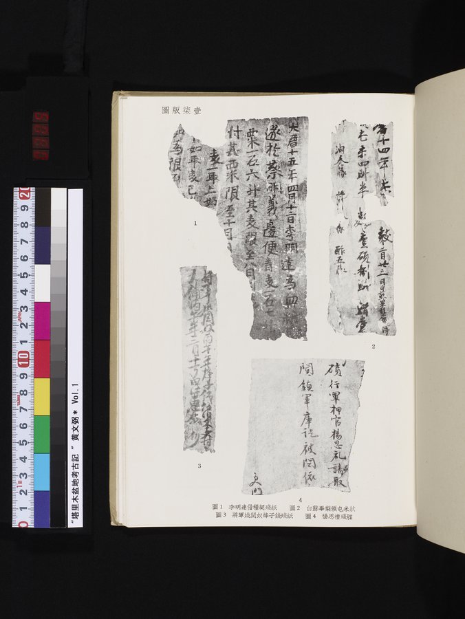 塔里木盆地考古記 : vol.1 / 305 ページ（カラー画像）