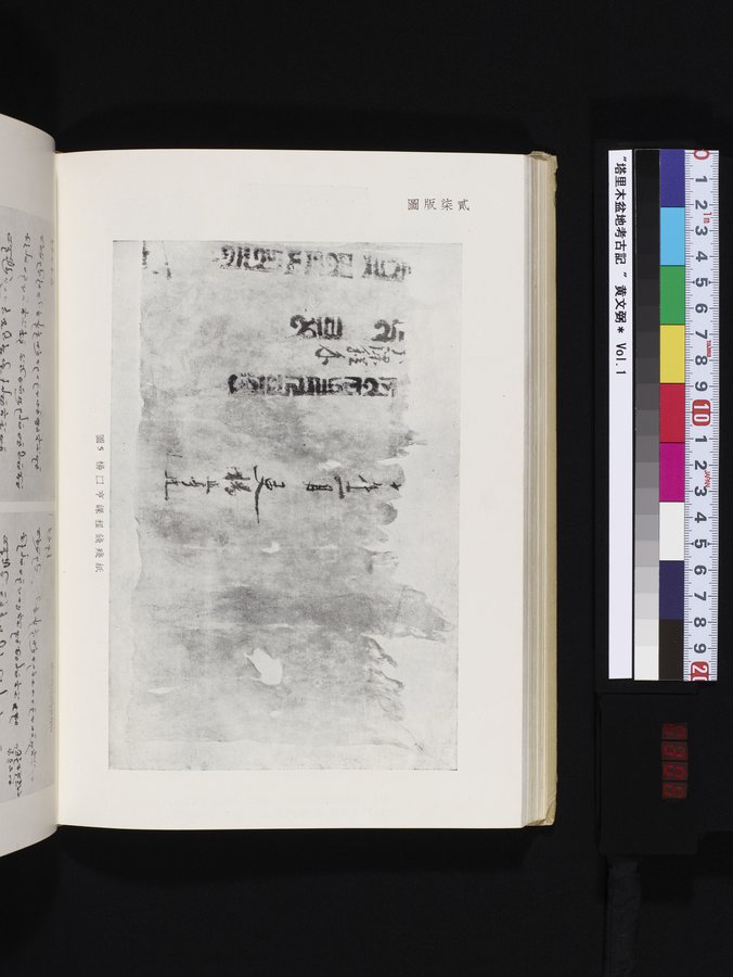 塔里木盆地考古記 : vol.1 / 306 ページ（カラー画像）