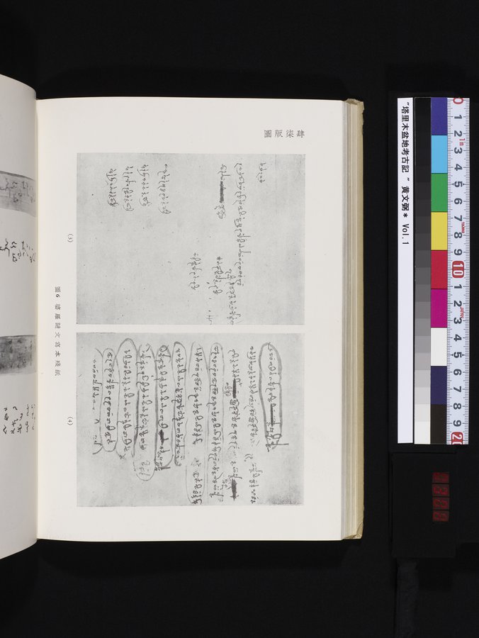 塔里木盆地考古記 : vol.1 / 308 ページ（カラー画像）