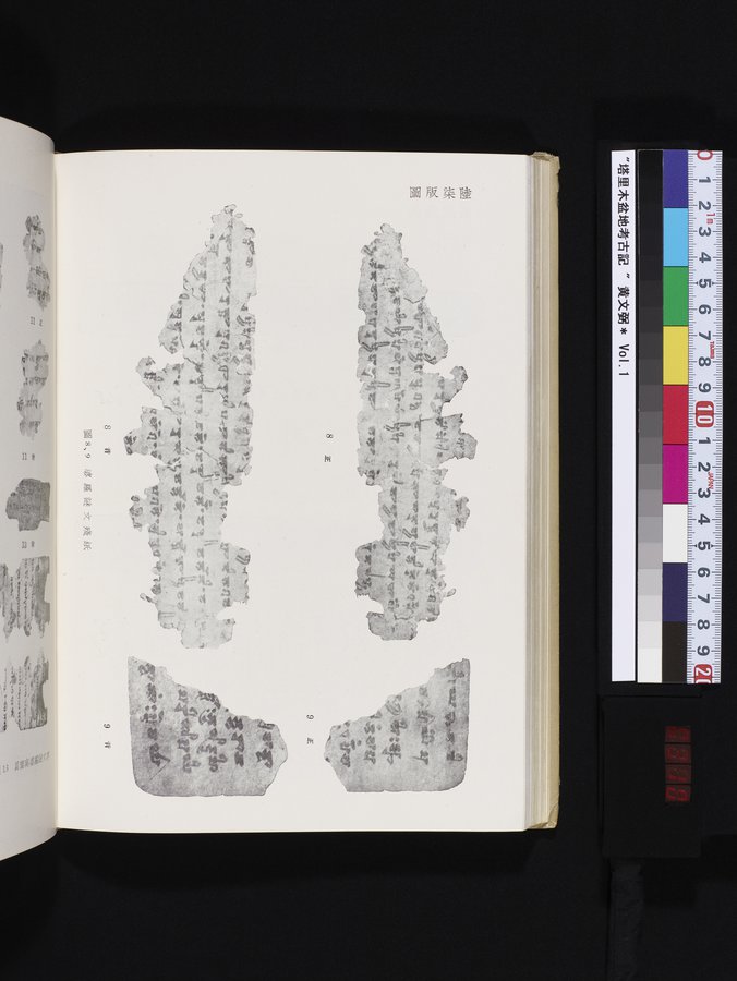 塔里木盆地考古記 : vol.1 / 310 ページ（カラー画像）