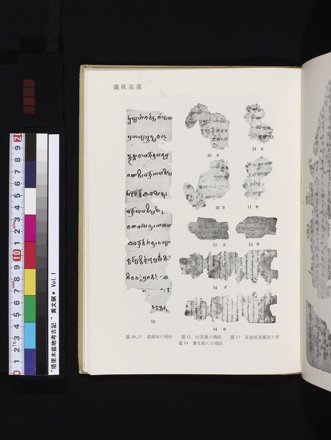 塔里木盆地考古記 : vol.1 / 311 ページ（カラー画像）