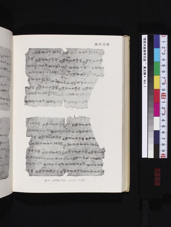 塔里木盆地考古記 : vol.1 / 312 ページ（カラー画像）