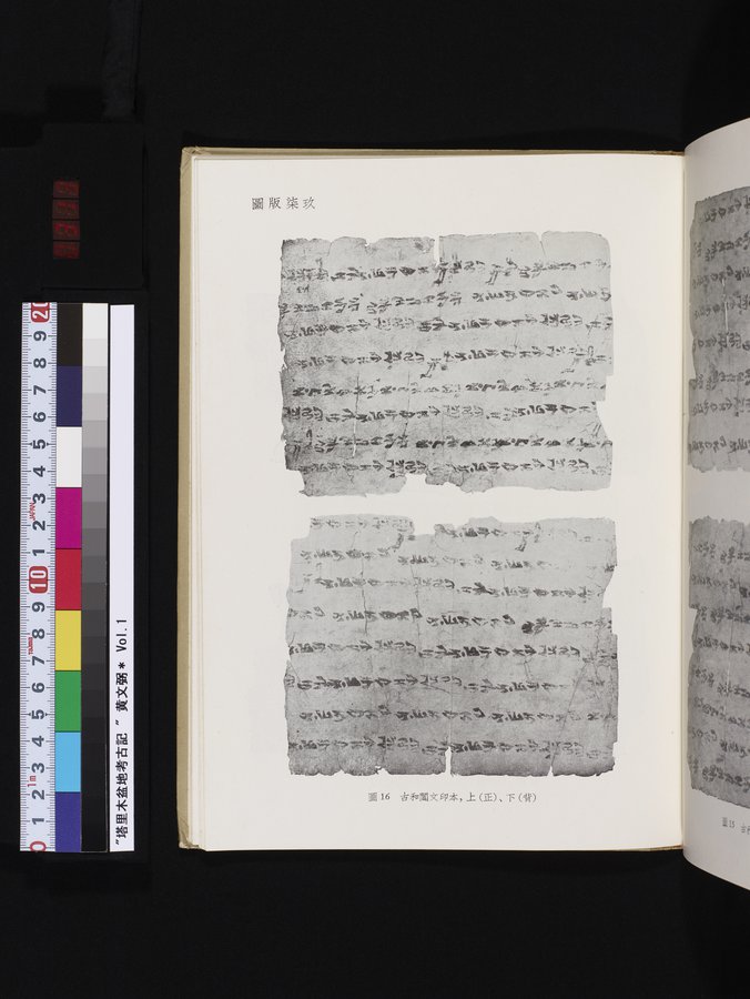 塔里木盆地考古記 : vol.1 / Page 313 (Color Image)
